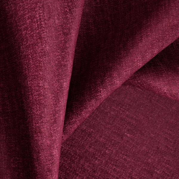 Edwina Peony-main
