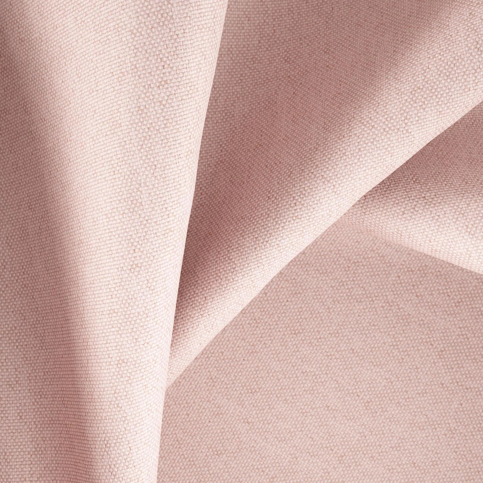 Eliana Orchid-main