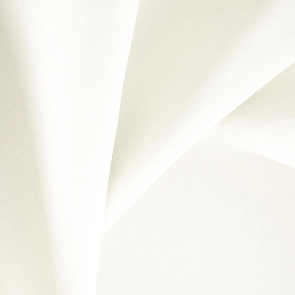 Biscotto Cream-main