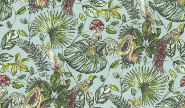 Bosawás Eucalyptus-main