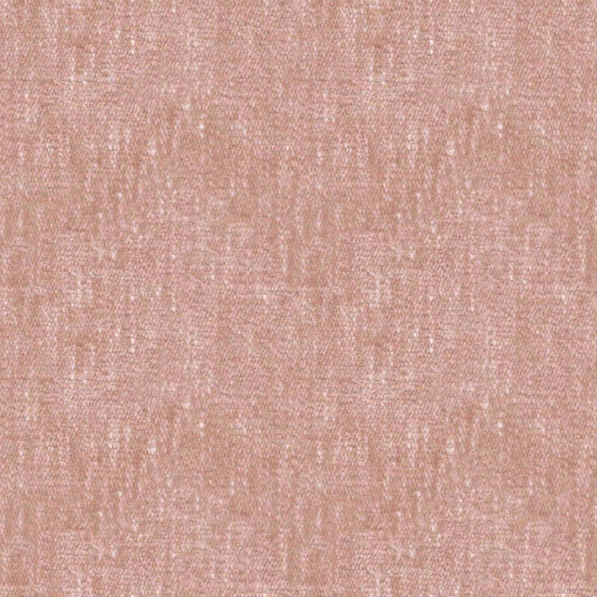 Dirikz Cantaloupe-main