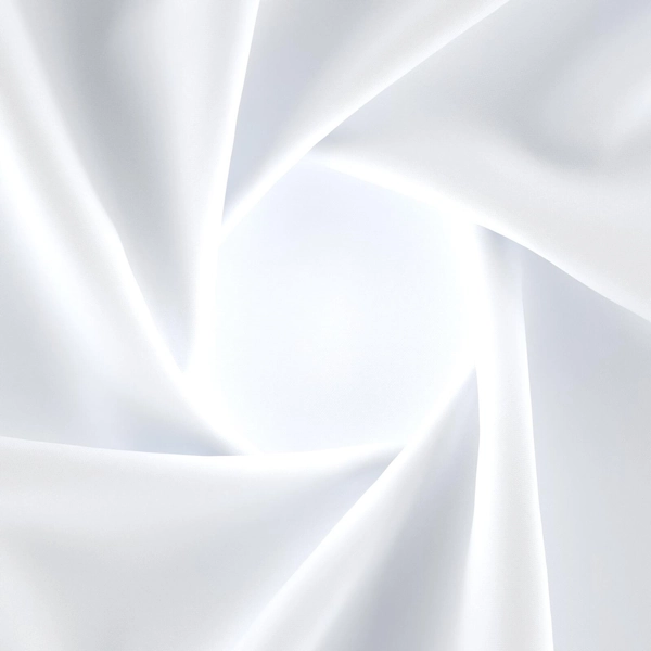 Balearic Swan-main
