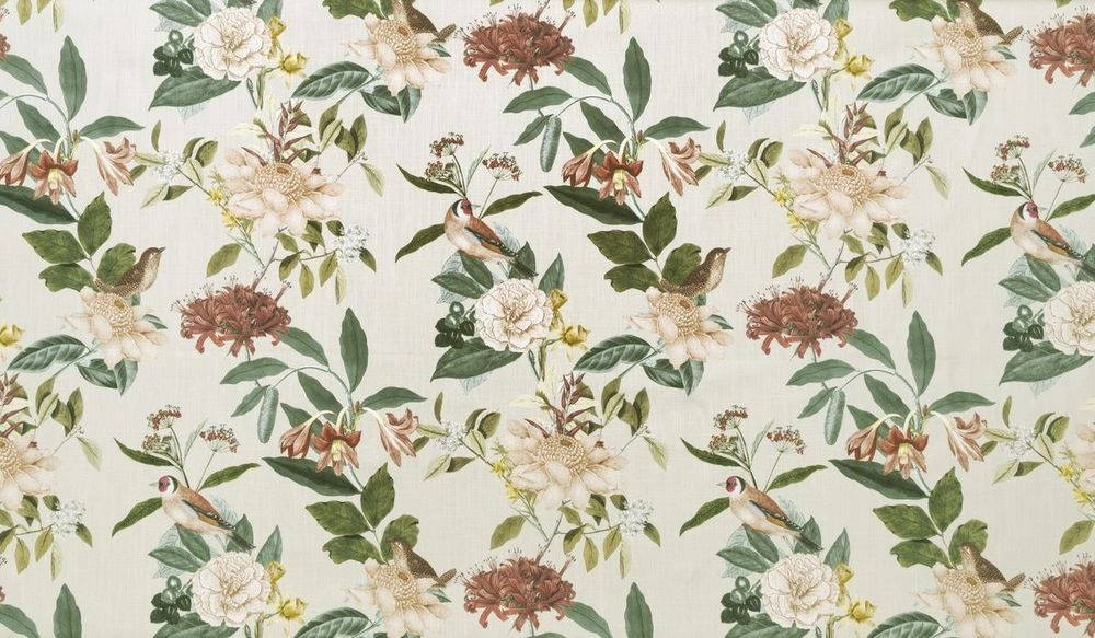 Abrantes Russet-main