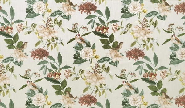 Abrantes Russet-main