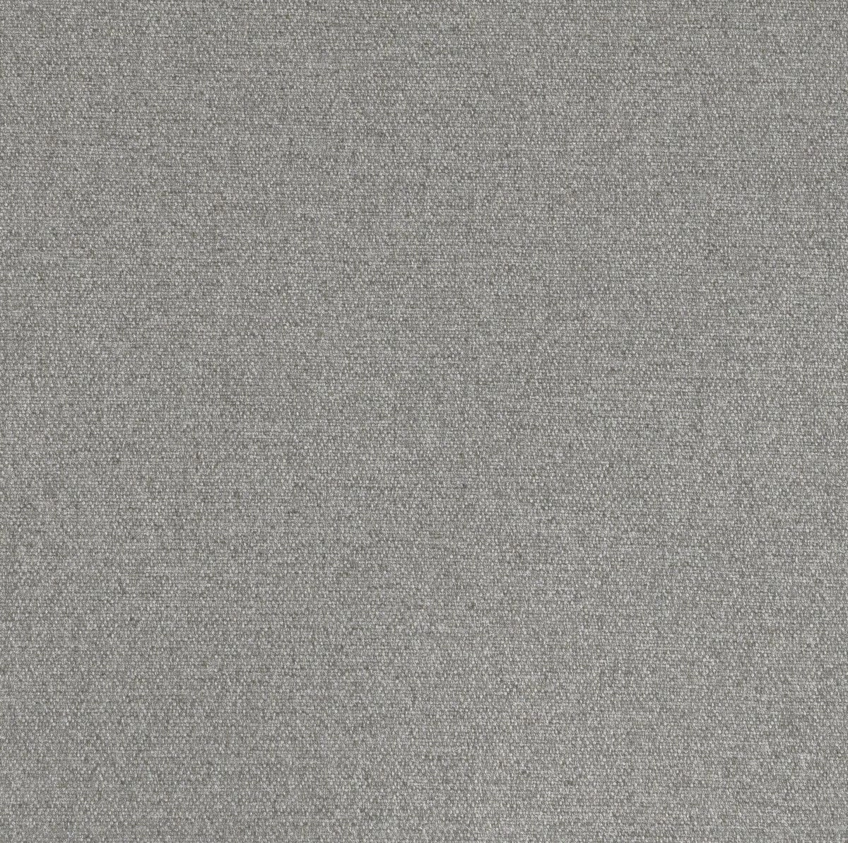 Entoku Chinchilla-main