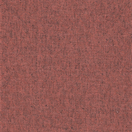 69b198adc78570565b7dc9d1.jpg