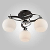 Image detail