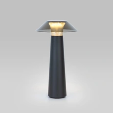 Изображение Настольный светильник Future TL70200