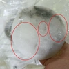 Detail product image