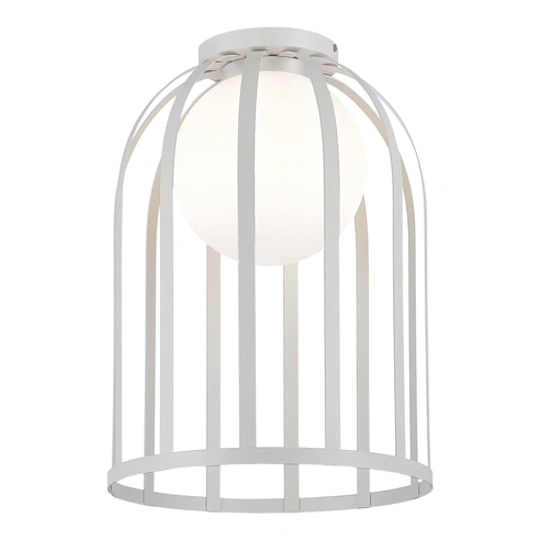 Image detail