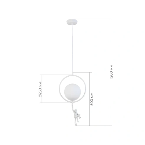 Detail product image