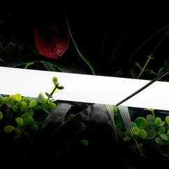 Product gallery item