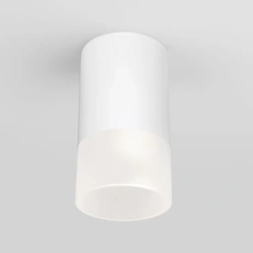 Изображение Уличный потолочный светильник Light LED 2106 IP54 35139/H белый