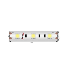 Изображение Светодиодная лента IP65 12Вольт холодное белое свечение, DSG560-12-W-65