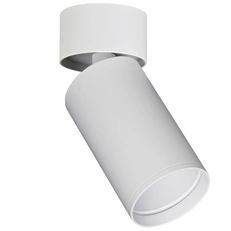 Изображение ST171.502.01 Светильник потолочный Белый GU10 1*50W IP20 D52xH130 220V Без ламп Накладные светильники
