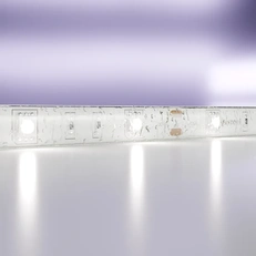 Изображение Светодиодная лента 12В 5050 7,2Вт/м 6000K 5м IP65