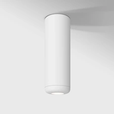 Изображение Светильник потолочный светодиодный 10W 4000K белый 25045/LED
