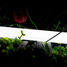 Изображение Нейтральный белый 24В IP66 16Вт/м 360 LED/м SMD2835 360° D25 SWG-2360-24-NW-66
