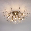 Image detail