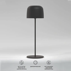 Изображение Компактный светодиодный настольный светильник Bitty чёрный IP54 TL70260
