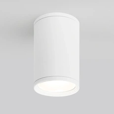 Изображение Уличный потолочный светильник Light IP65 35128/H белый