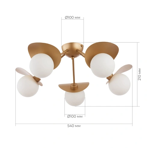Detail product image