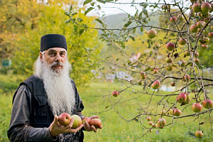 Настоящим монахом можно стать только по призванию Божию