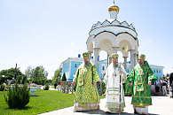 В Свято-Иверском монастыре г. Ростова-на-Дону встретили Духов день