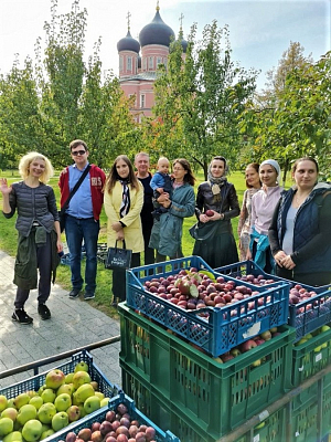 В саду Донского монастыря завершился сезон субботников по сбору урожая