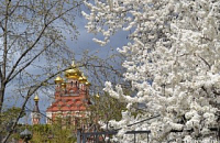 Свято-Троицкий Параскевиевский Топловский женский монастырь