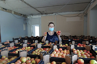 В Богоявленском монастыре Переславской епархии прошла акция «Делать добро – просто возлюбить ближнего»