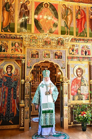 «Благодать действует на каждого, кто с верой желает принять этот Божественный дар»