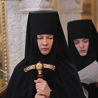 Все мы нуждаемся в совете опытных людей