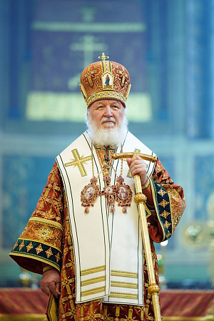 «Мы действительно свободны»