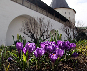 Новоспасский монастырь готовится к празднику Пасхи 