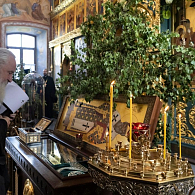 В день Святого Духа митрополит Каширский Феогност совершил Божественную литургию в Свято-Троицком Стефано-Махрищском монастыре