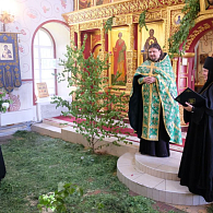 День Святой Троицы отметили в Свято-Троицком Александро-Невском ставропигиальном монастыре