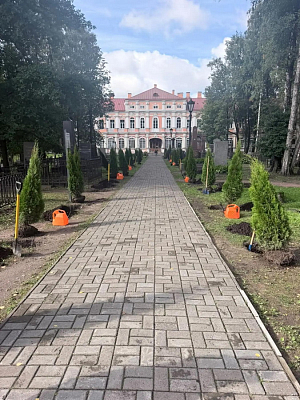 В Александро-Невской лавре Санкт-Петербурга высадили 50 деревьев