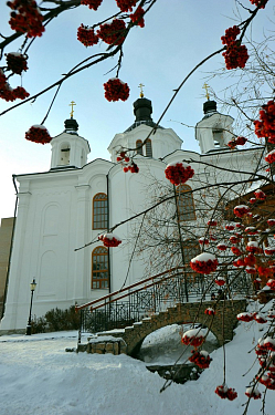 Подворье Александро-Невского Ново-Тихвинского женского монастыря во имя Всемилостивого Спаса и Пресвятой Богородицы
