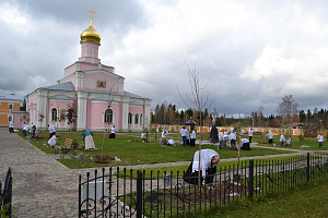 В Зосимовой пустыни прошла экологическая акция «Я посадил дерево»