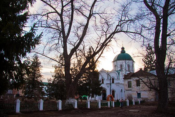 Спасо-Преображенский Толшевский женский  монастырь г. Воронежа 