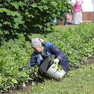 Потрудиться всегда пригодится!
