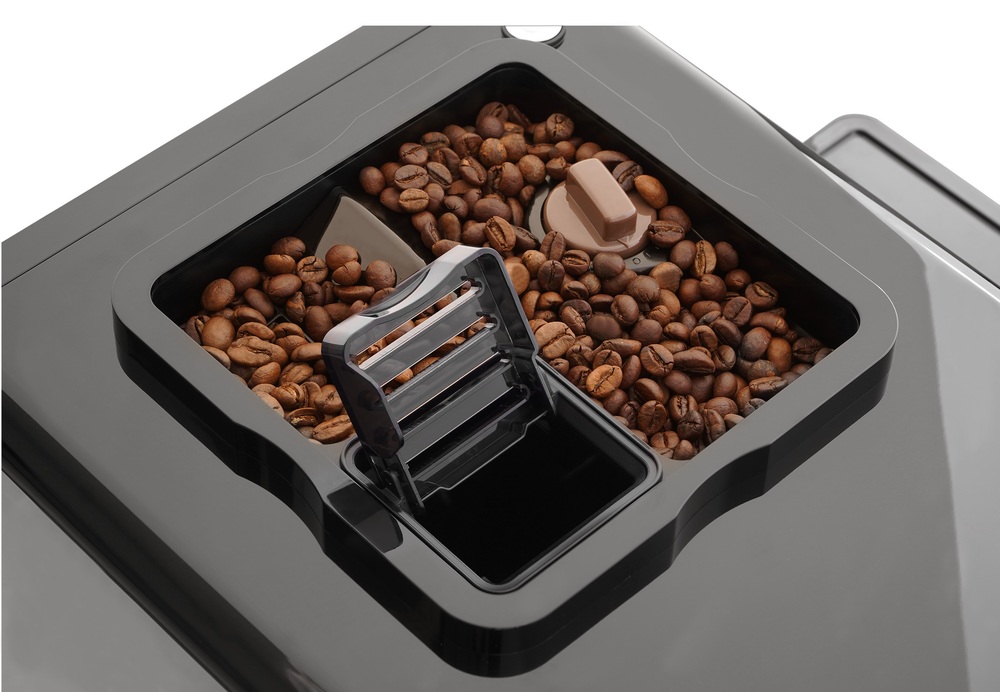 Evelux EACM 2007 Vivo