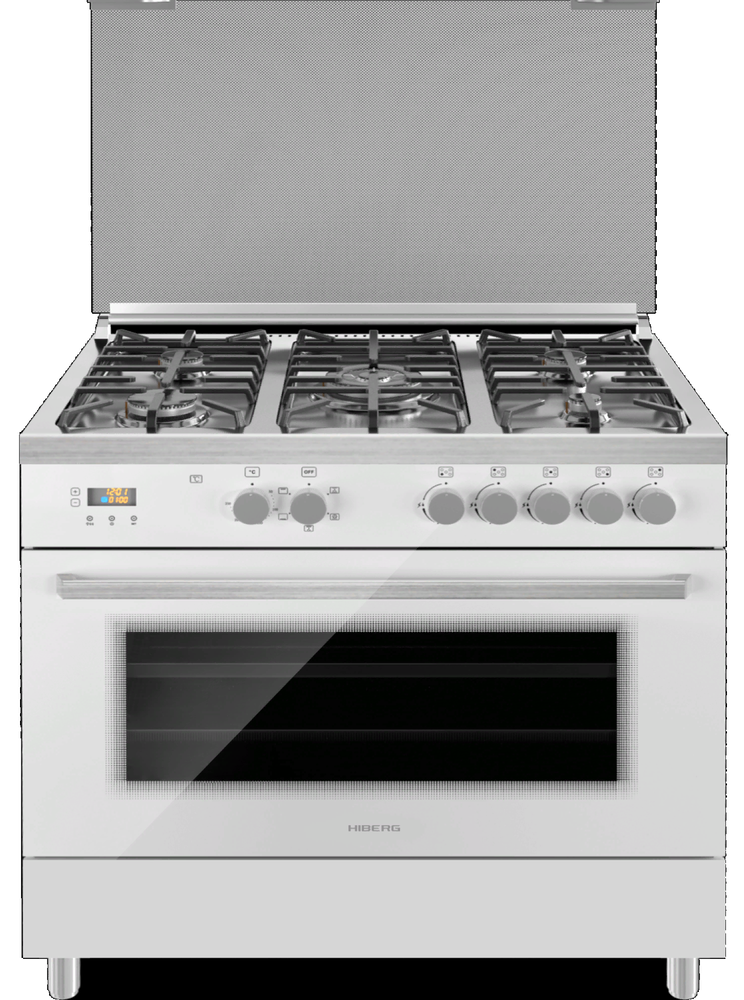 HIBERG FEG 950-25 MW