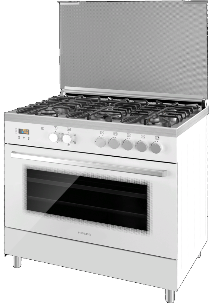 HIBERG FEG 950-25 MW