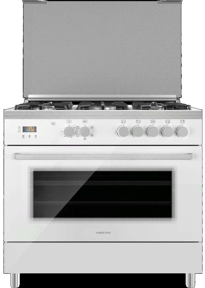 HIBERG FEG 950-25 MW