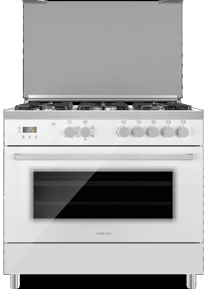 HIBERG FEG 950-25 MW