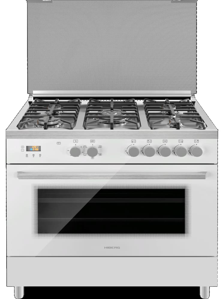 HIBERG FEG 950-25 MW