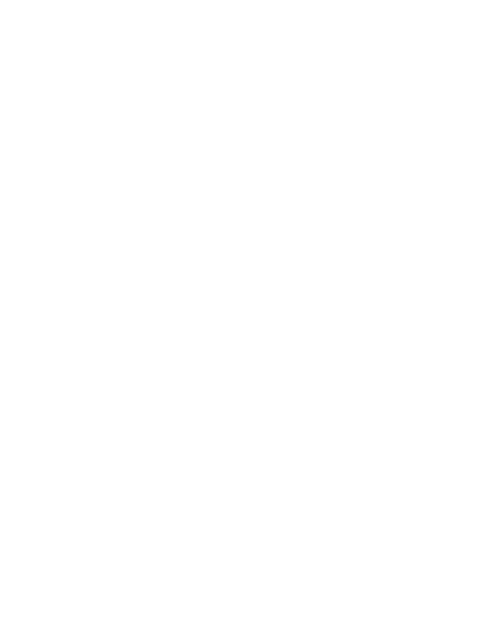 Rivelato BERKANA BK-50 brina, мойка, гранит, иней