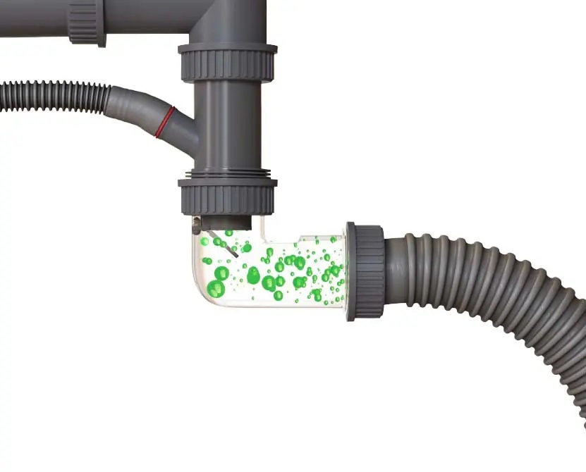 Seaman Eco Marino SMN-6845T-GL